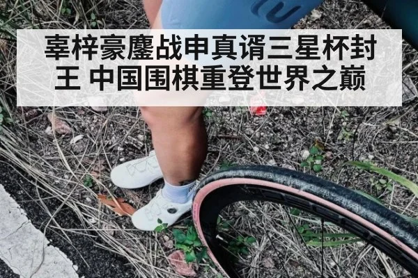 辜梓豪鏖战申真谞三星杯封王 中国围棋重登世界之巅