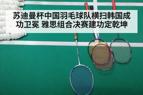 苏迪曼杯中国羽毛球队横扫韩国成功卫冕 雅思组合决赛建功定乾坤