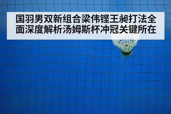 badminton net play