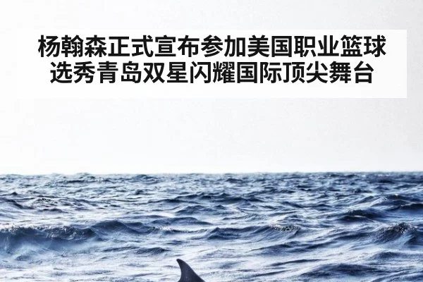 杨翰森正式宣布参加美国职业篮球选秀青岛双星闪耀国际顶尖舞台